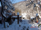 DSC03318