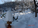 DSC03297