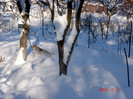 DSC03308