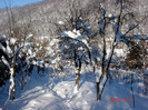 DSC03313