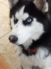 SAM_2321