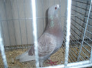 PC072257