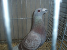 PC072258