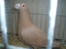 PC072272