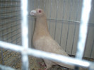 PC072273