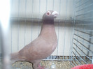 PC072275
