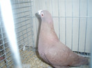 PC072276