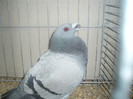 PC072287