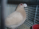 PC072311