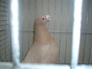 PC072312