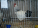 PC072318