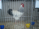 PC072320