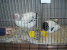 PC072321