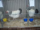 PC072324