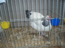 PC072328