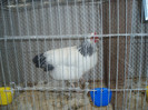 PC072329