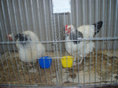 PC072330