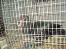 PC072337