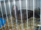 PC072341