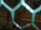 PC072350