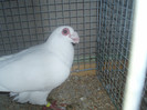 PC082406