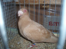 PC082412