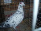 PC082431