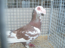PC082432