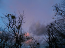 DSCN2844