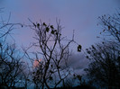 DSCN2848