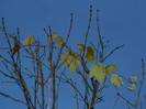 DSCN2857