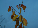 DSCN2866