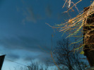 DSCN2890