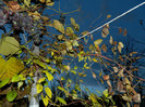 DSCN2894
