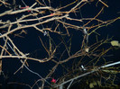 DSCN2907