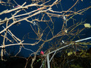 DSCN2908