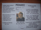 GEDC0983