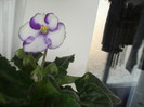 PIC_0190