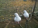 Fotografie0227