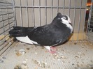 60390a