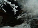 DSCN3517