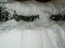 DSCN3520