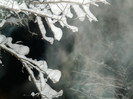DSCN3522