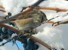 DSCN3537