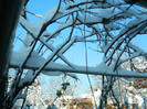 DSCN3538