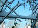 DSCN3539