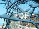 DSCN3540
