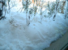 DSCN3543
