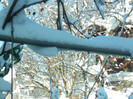 DSCN3549
