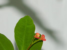 DSCN3583